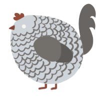 A mist and grey chicken with a lace pattern