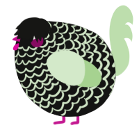 A black and gluppy chicken with a lace pattern