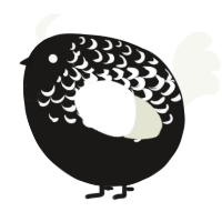 A sable and white chicken with a half-lace pattern