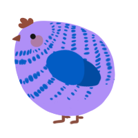 A lilac and ultramarine chicken with a bar pattern