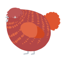 A red and vermilion chicken with a bar pattern