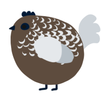 A bark and mist chicken with a half-lace pattern