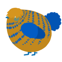 A ochre and ultramarine chicken with a bar pattern