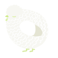 A white chicken with a lace pattern