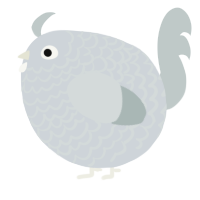 A mist and silver chicken with a lace pattern