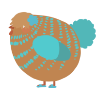 A brown and cerulean chicken with a bar pattern