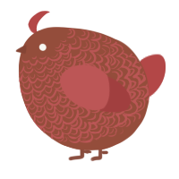 A russet and red chicken with a double-lace pattern