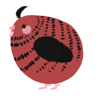 A red and black chicken with a bar pattern