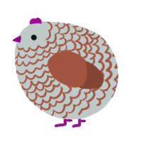 A silver and russet chicken with a lace pattern