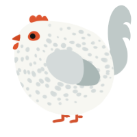A white and silver chicken with a speckle pattern