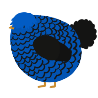 A ultramarine and black chicken with a lace pattern