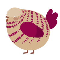 A beige and maroon chicken with a bar pattern