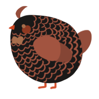 A sable and russet chicken with a lace pattern