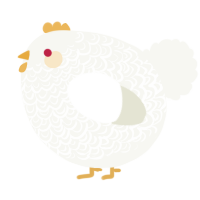 A white chicken with a double-lace pattern