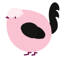 A rose and black chicken