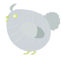 A mist and silver chicken with a bar pattern
