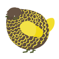 A bark and yellow chicken with a lace pattern