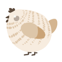 A cream and beige chicken with a bar pattern