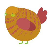A ochre and red chicken with a bar pattern