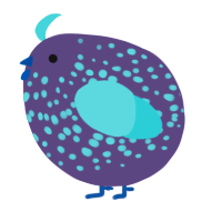 A overcast and aqua chicken with a speckle pattern