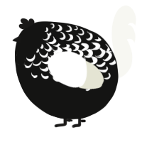 A black and white chicken with a half-lace pattern