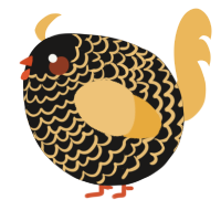 A sable and honey chicken with a lace pattern