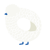 A white chicken with a lace pattern