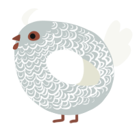 A silver and white chicken with a double-lace pattern