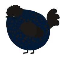 A tumblr and sable chicken with a speckle pattern