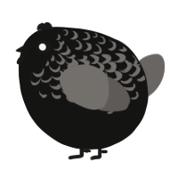 A black and grey chicken with a half-lace pattern