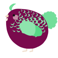 A wine and spring chicken with a half-lace pattern