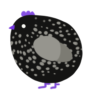 A black and ash chicken with a speckle pattern