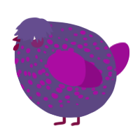 A overcast and plum chicken with a speckle pattern