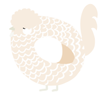 A cream chicken with a lace pattern