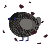 A black and grey chicken with a double-lace pattern