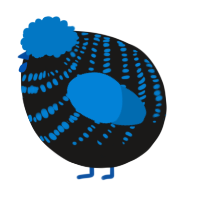 A sable and sapphire chicken with a bar pattern