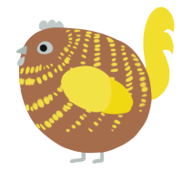 A brown and yellow chicken with a bar pattern
