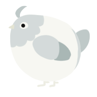 A white and silver chicken with a head pattern
