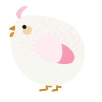 A white and rose chicken with a half-lace pattern