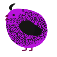 A amethyst and black chicken with a double-lace pattern