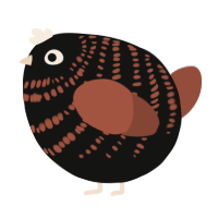 A black and russet chicken with a bar pattern