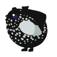 A black and silver chicken with a speckle pattern