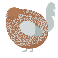 A brown and silver chicken with a double-lace pattern