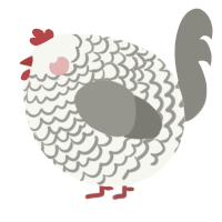 A white and ash chicken with a lace pattern
