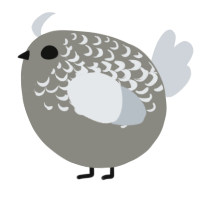 A ash and mist chicken with a half-lace pattern