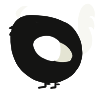 A black and white chicken