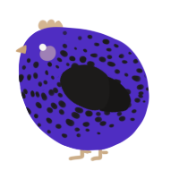A indigo and sable chicken with a speckle pattern