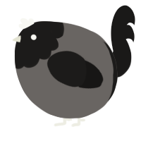 A grey and sable chicken with a head pattern
