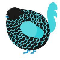 A sable and aqua chicken with a lace pattern