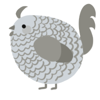 A mist and ash chicken with a lace pattern
